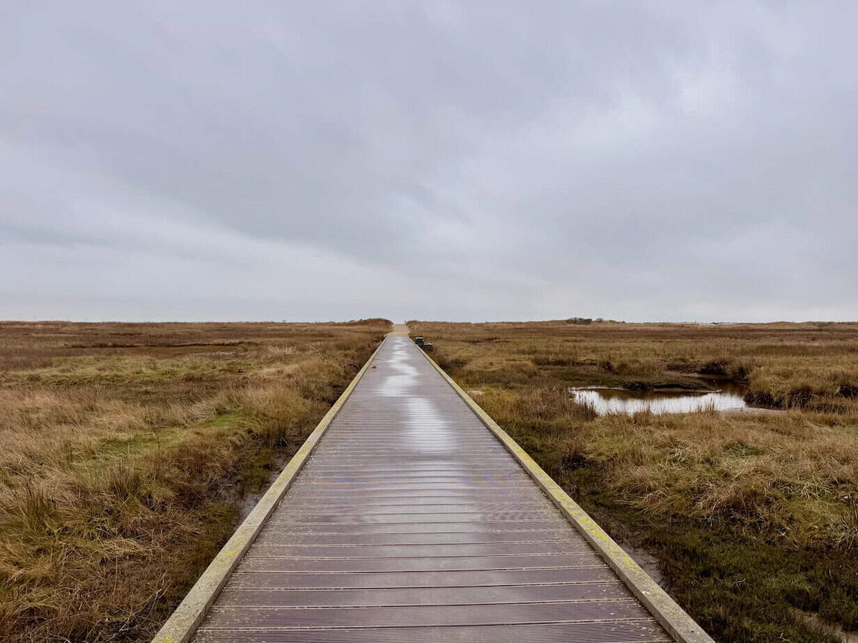 Winter auf Borkum - eine Auszeit im Küstennebel Winter auf Borkum - eine Auszeit im Küstennebel