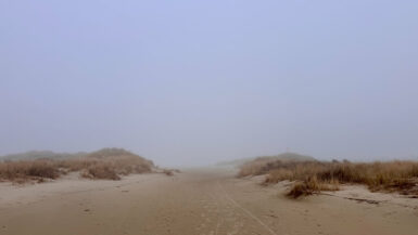 Winter auf Borkum - eine Auszeit im Küstennebel Winter auf Borkum - eine Auszeit im Küstennebel