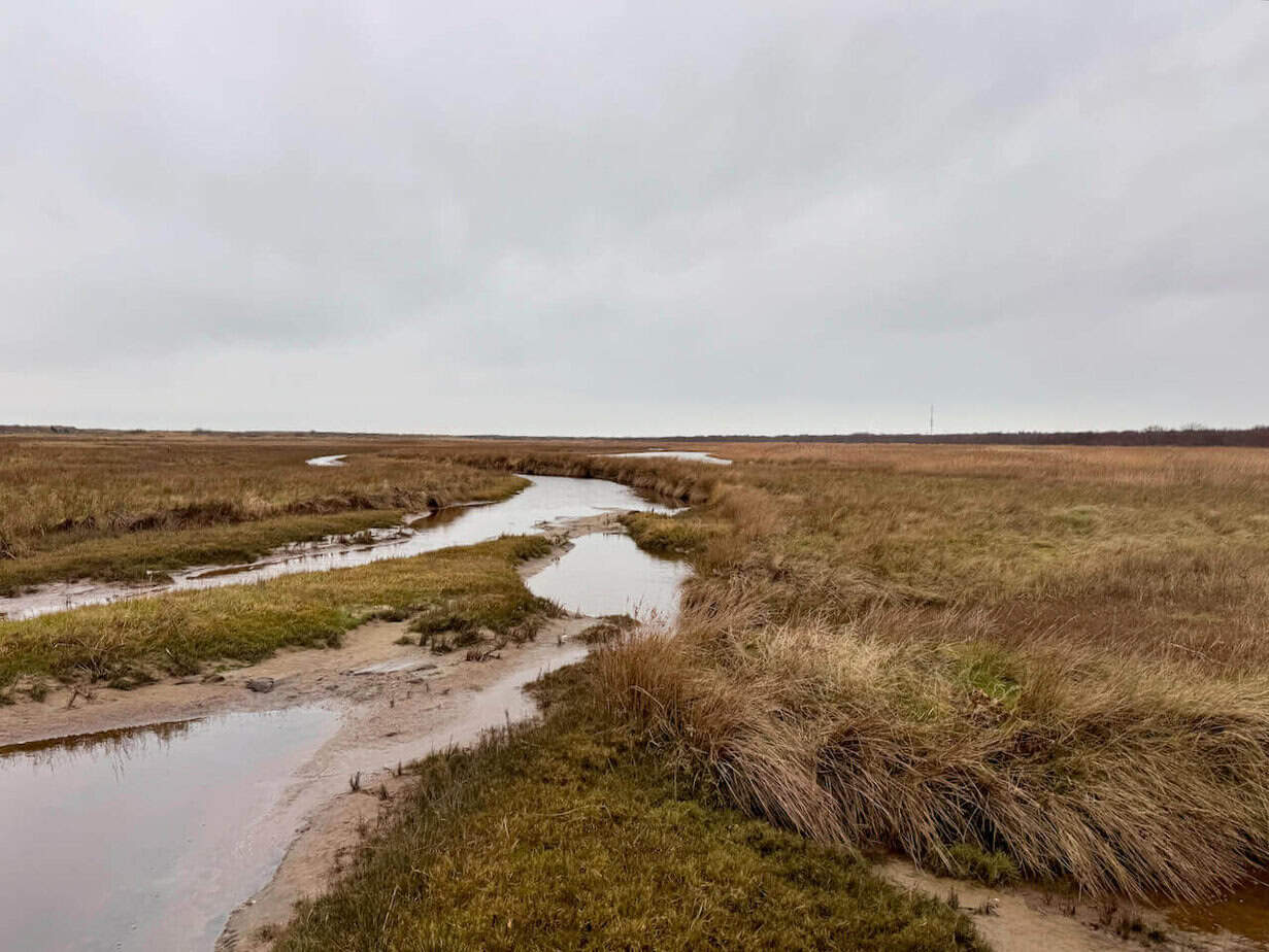 Winter auf Borkum - eine Auszeit im Küstennebel Winter auf Borkum - eine Auszeit im Küstennebel