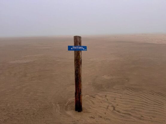 Wanderweg im Küstennebel Winter auf Borkum - eine Auszeit im Küstennebel