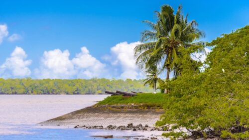 Inselhopping nach Suriname