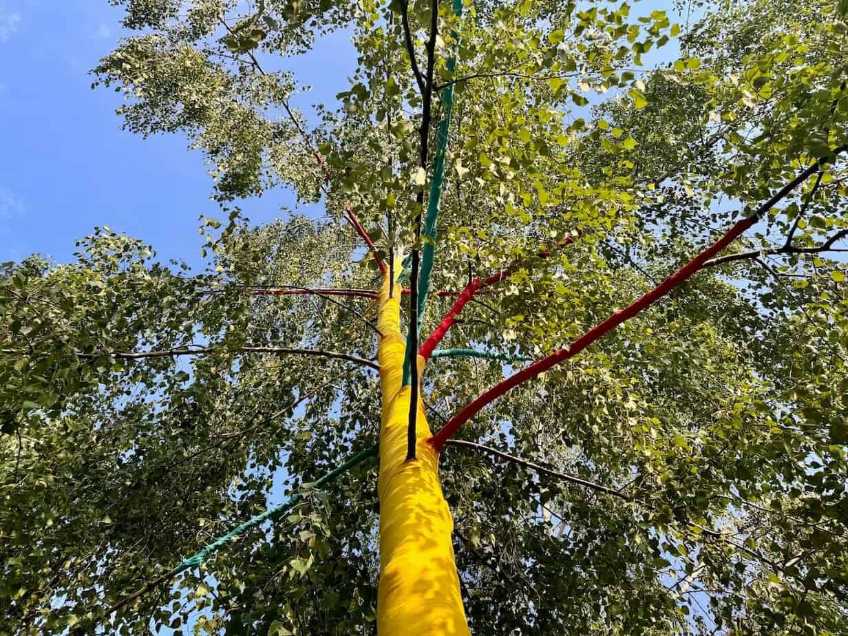 Landesgartenschau Neuss 2026: Meine Empfehlungen für einen Besuch Landesgartenschau Neuss 2026: Meine Empfehlungen für einen Besuch