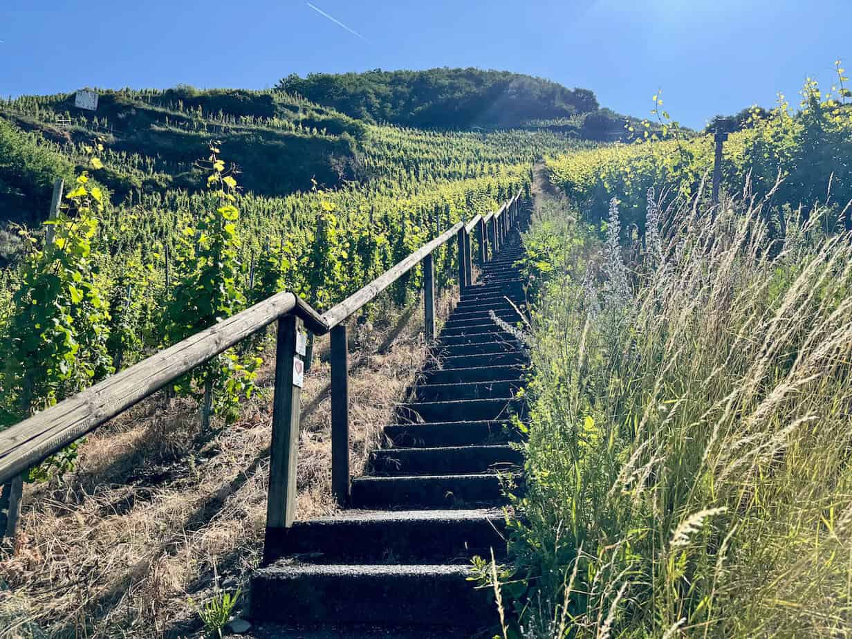 Ein Kurztrip nach Trittenheim - Geheimtipp an der Mittelmosel Ein Kurztrip nach Trittenheim - Geheimtipp an der Mittelmosel