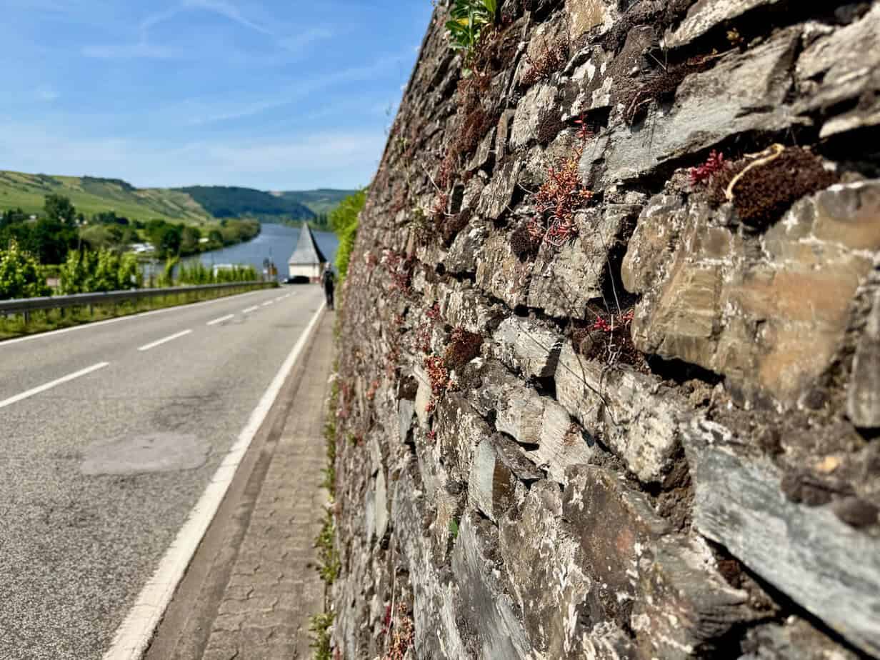 Ein Kurztrip nach Trittenheim - Geheimtipp an der Mittelmosel Ein Kurztrip nach Trittenheim - Geheimtipp an der Mittelmosel