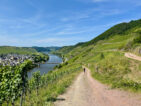 Ein Kurztrip nach Trittenheim - Geheimtipp an der Mittelmosel