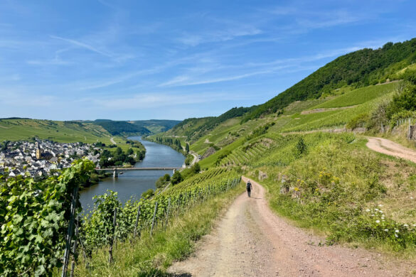 Ein Kurztrip nach Trittenheim - Geheimtipp an der Mittelmosel