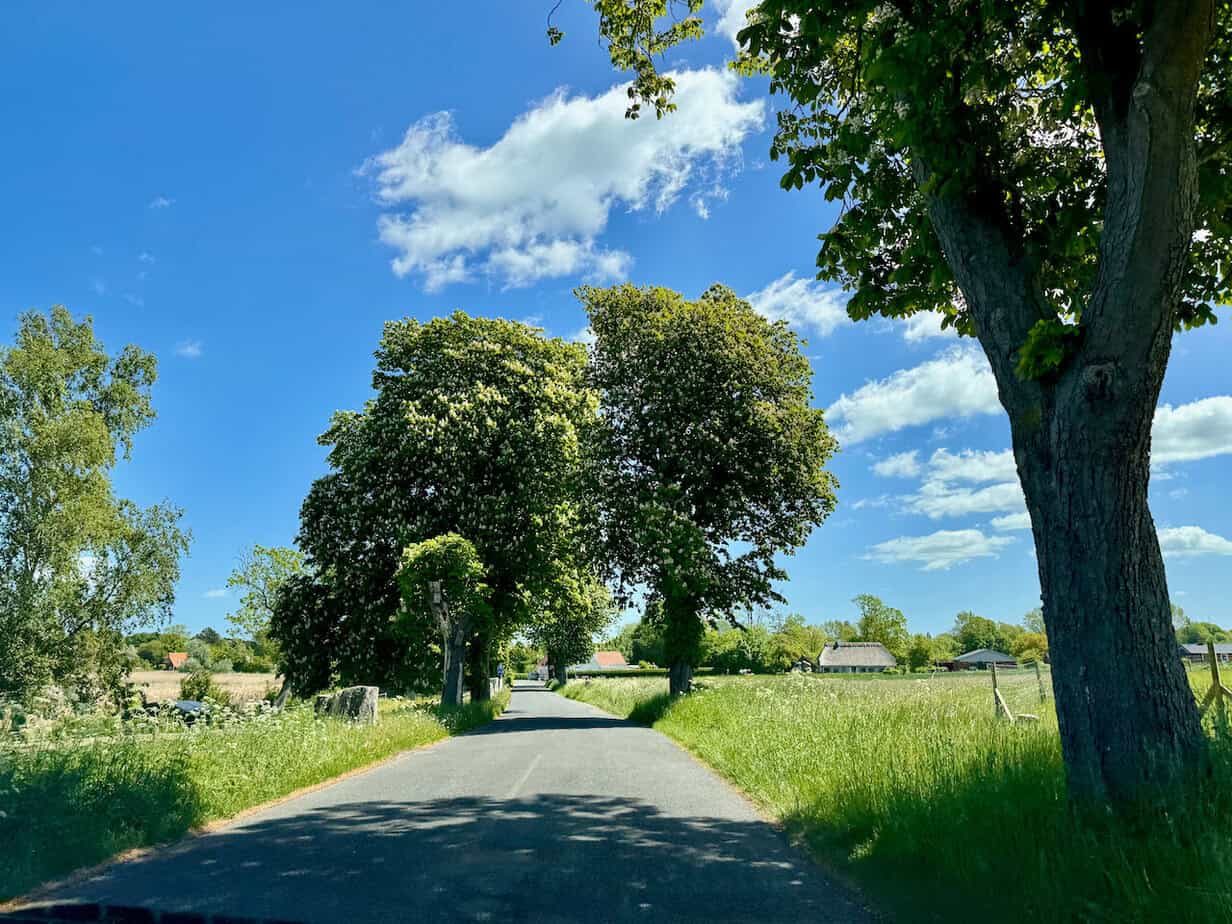 Ein Wochenende in Odense - Sehenswürdigkeiten und Geheimtipps Ein Wochenende in Odense - Sehenswürdigkeiten und Geheimtipps