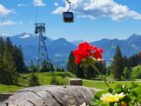 Kurzurlaub im Oberallgäu: Rund um Obermaiselstein und Oberstdorf