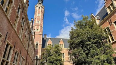 Die Burgunder in Mechelen: Besuch in der ehemaligen Hauptstadt der Niederlande Die Burgunder in Mechelen: Besuch in der ehemaligen Hauptstadt der Niederlande