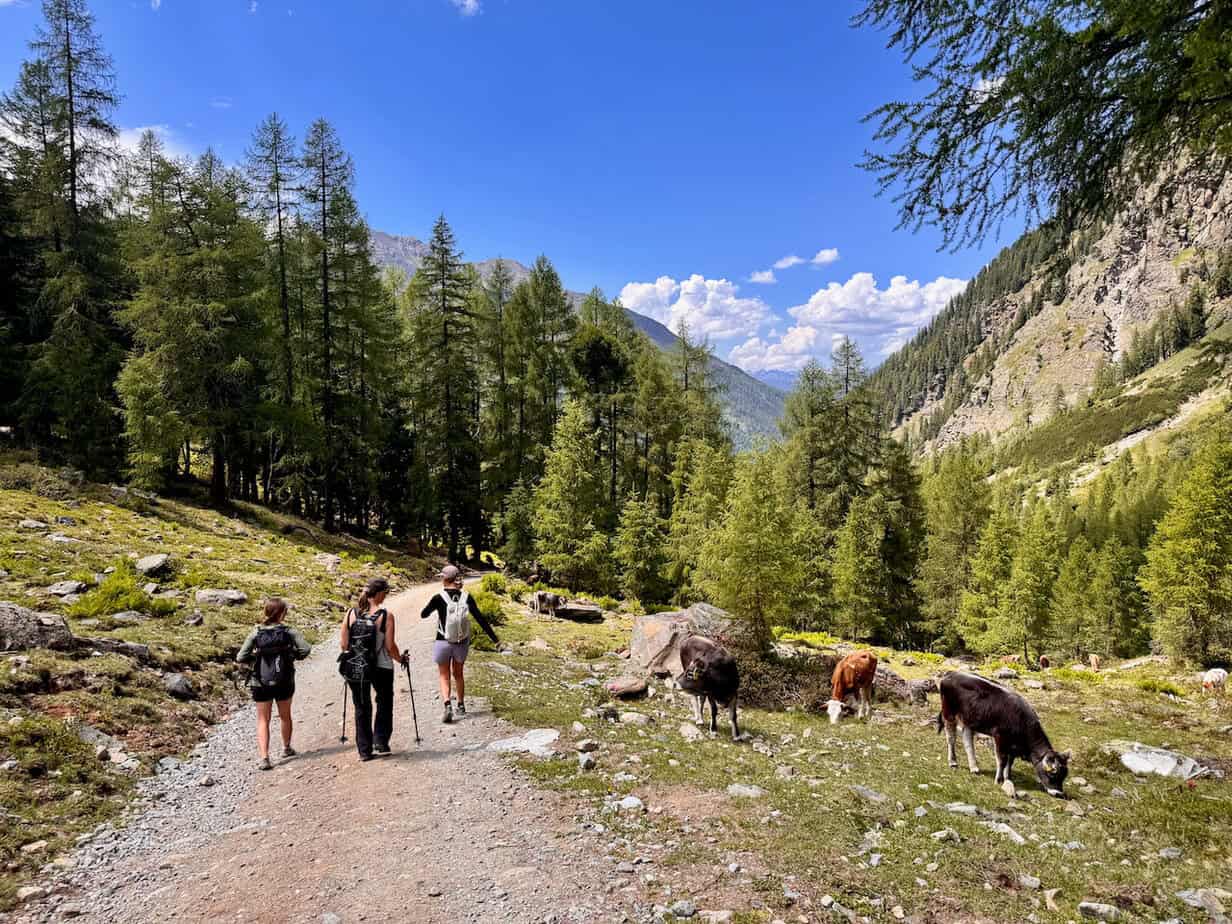 Nachhaltiges Mädelswochenende im Kaunertal: Auszeit & Natur Nachhaltiges Mädelswochenende im Kaunertal: Auszeit & Natur