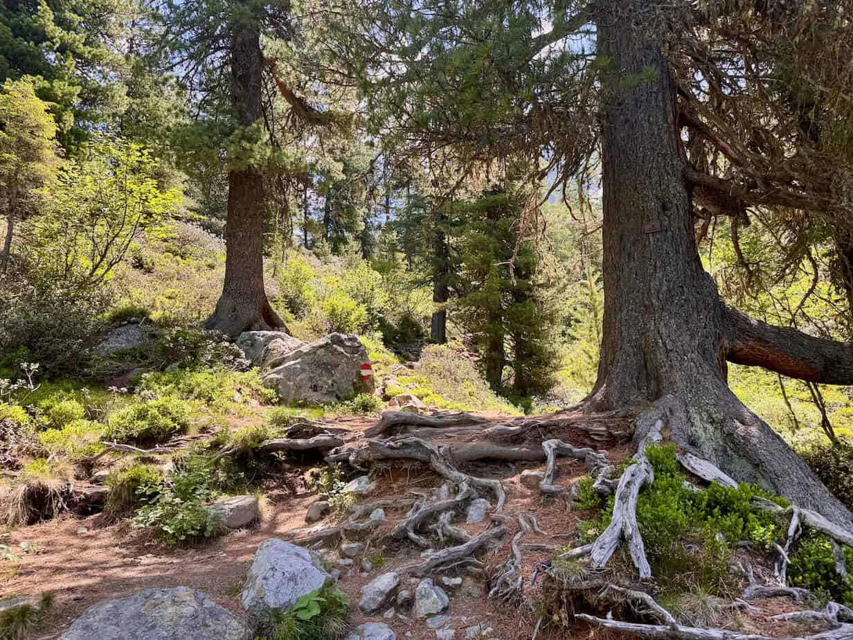 Nachhaltiges Mädelswochenende im Kaunertal: Auszeit & Natur Nachhaltiges Mädelswochenende im Kaunertal: Auszeit & Natur