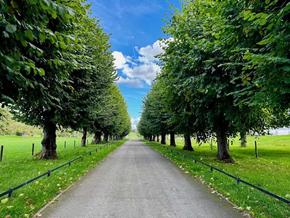 Die belgische Provinz Limburg in Flandern im Herbst erleben. Die belgische Provinz Limburg in Flandern im Herbst erleben.