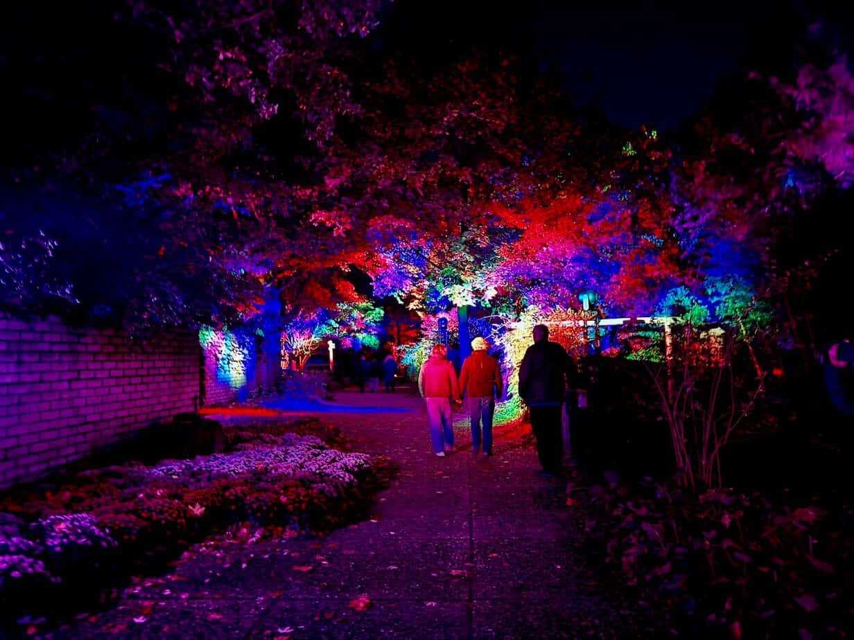 Ein Besuch beim Lichtkunstfestival Enchanted Gardens in Arcen Ein Besuch beim Lichtkunstfestival Enchanted Gardens in Arcen