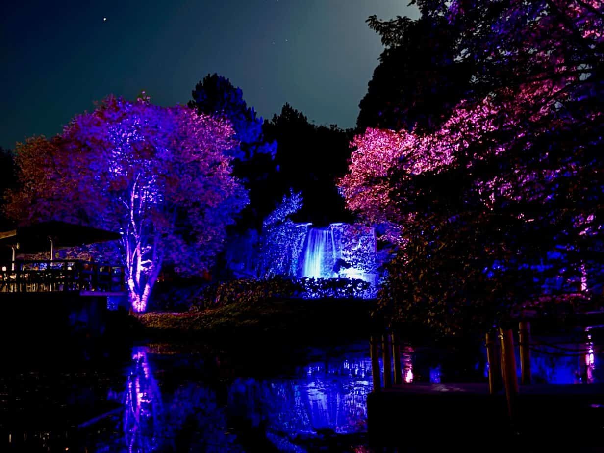 Ein Besuch beim Lichtkunstfestival Enchanted Gardens in Arcen Ein Besuch beim Lichtkunstfestival Enchanted Gardens in Arcen