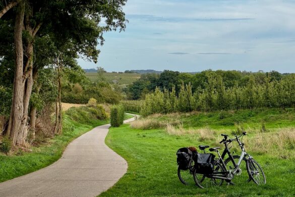 Die belgische Provinz Limburg in Flandern im Herbst erleben.