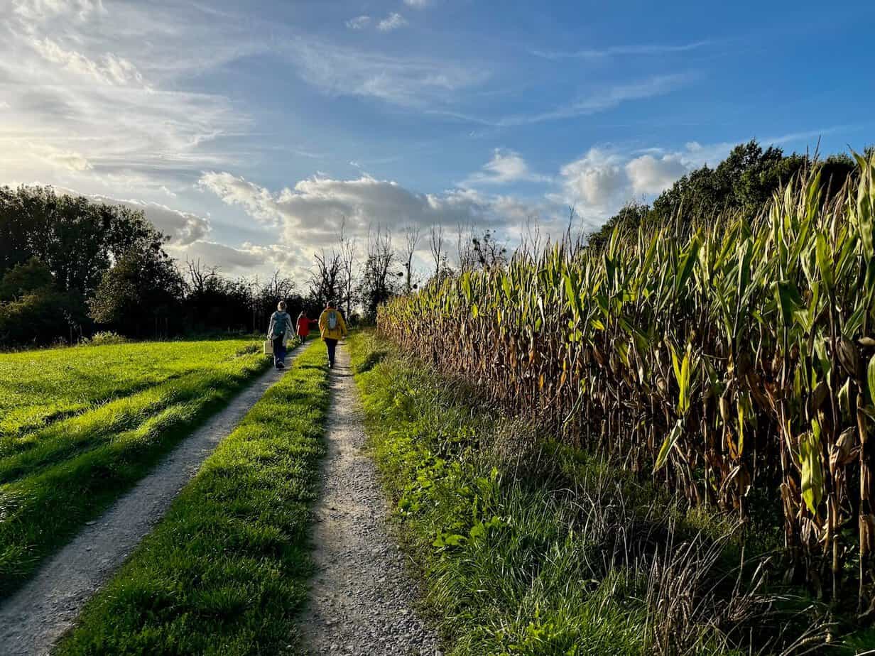 Die belgische Provinz Limburg in Flandern im Herbst erleben. Die belgische Provinz Limburg in Flandern im Herbst erleben.